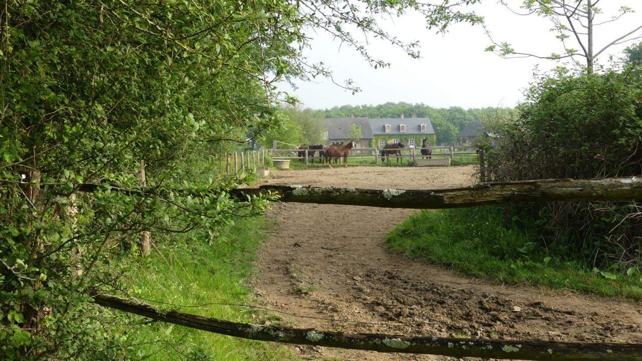 La Petite Lande Bed & Breakfast Ménil Екстериор снимка