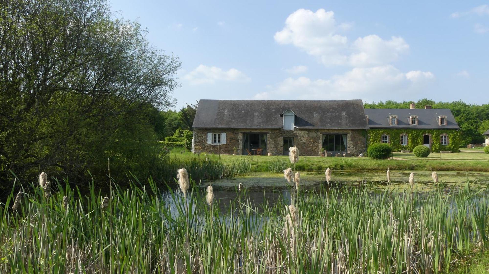 La Petite Lande Bed & Breakfast Ménil Екстериор снимка
